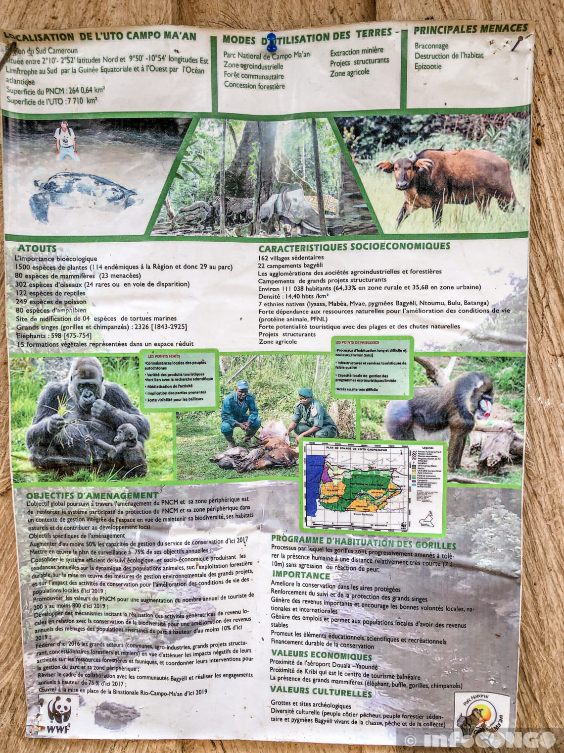CAMVERT, l'agro-industrie opaque qui rase les forêts camerounaises sans ...