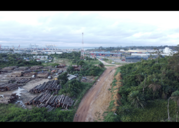 Une vue du parc à bois du port autonome de Kribi. Credit: The Museba Project.