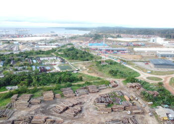 Le parc à bois du Port autonome de Kribi. Credit: The Museba project